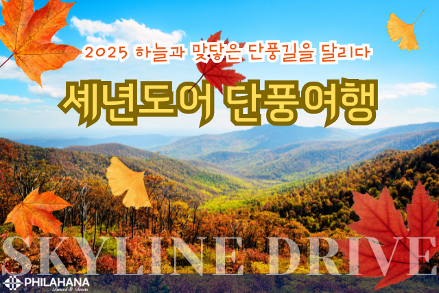 하늘 가까이에서 만나는 단풍!  2025 가을 셰넌도어 패키지